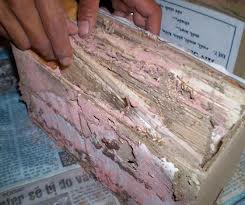 DỊCH VỤ DIỆT MỐI VÀ CÔN TRÙNG